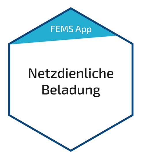 FEMS App Netzdienliche Beladung (FEM209)