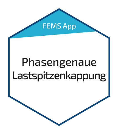 FEMS App Phasengenaue Lastspitzenkappung (FEM415)